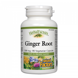 Ginger Root/ Джинджифил...