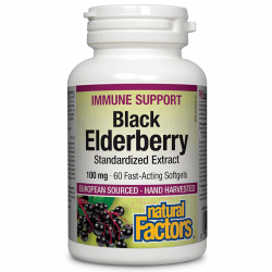 Black Elderberry...