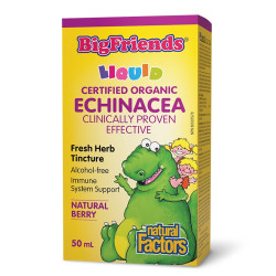 Ехинацея BigFriends® –...