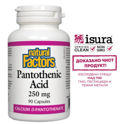 Pantothenic Acid -...