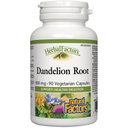 Черен дроб и жлъчка -...