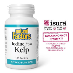 Норвежки келп – За...