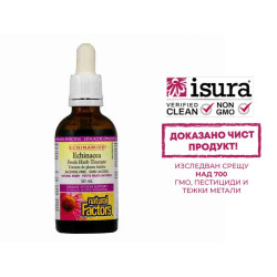 Простуда и грип Echinamide®...